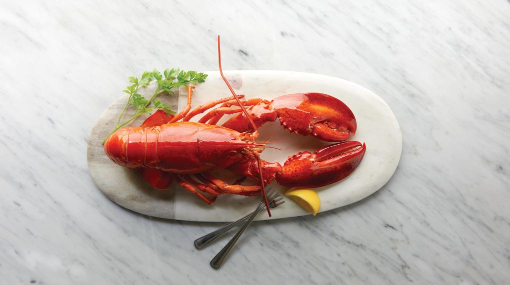 steamed lobster