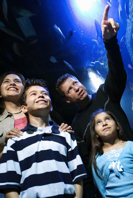 Aquarium Adventure Exhibits & Amusements
