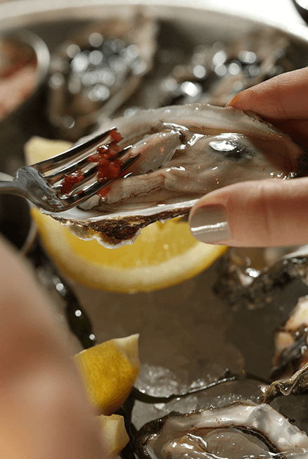 See What's New at the Wharf