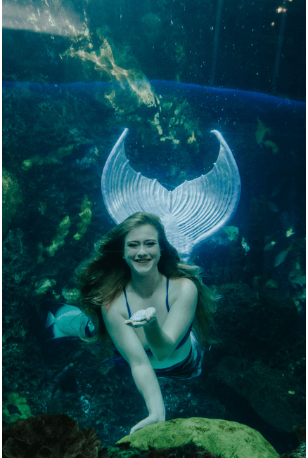 Aquarium Mermaids