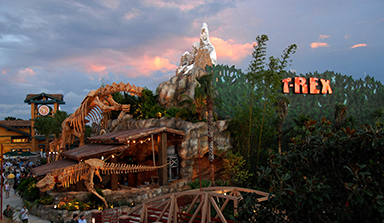 trex cafe store trex cafe store