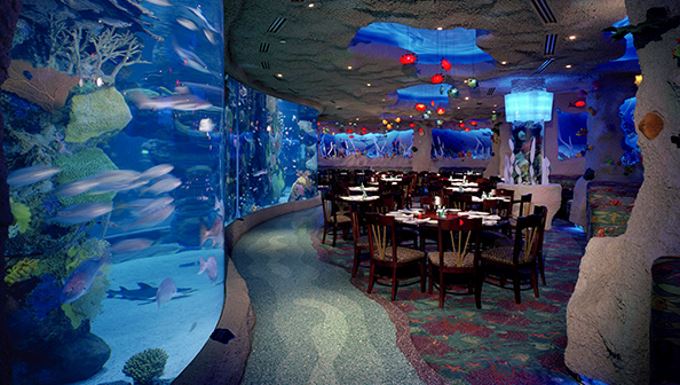 Aquarium Restaurant