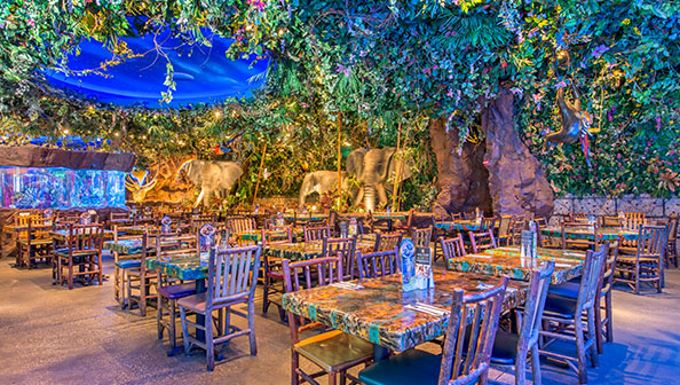 rainforest cafe history