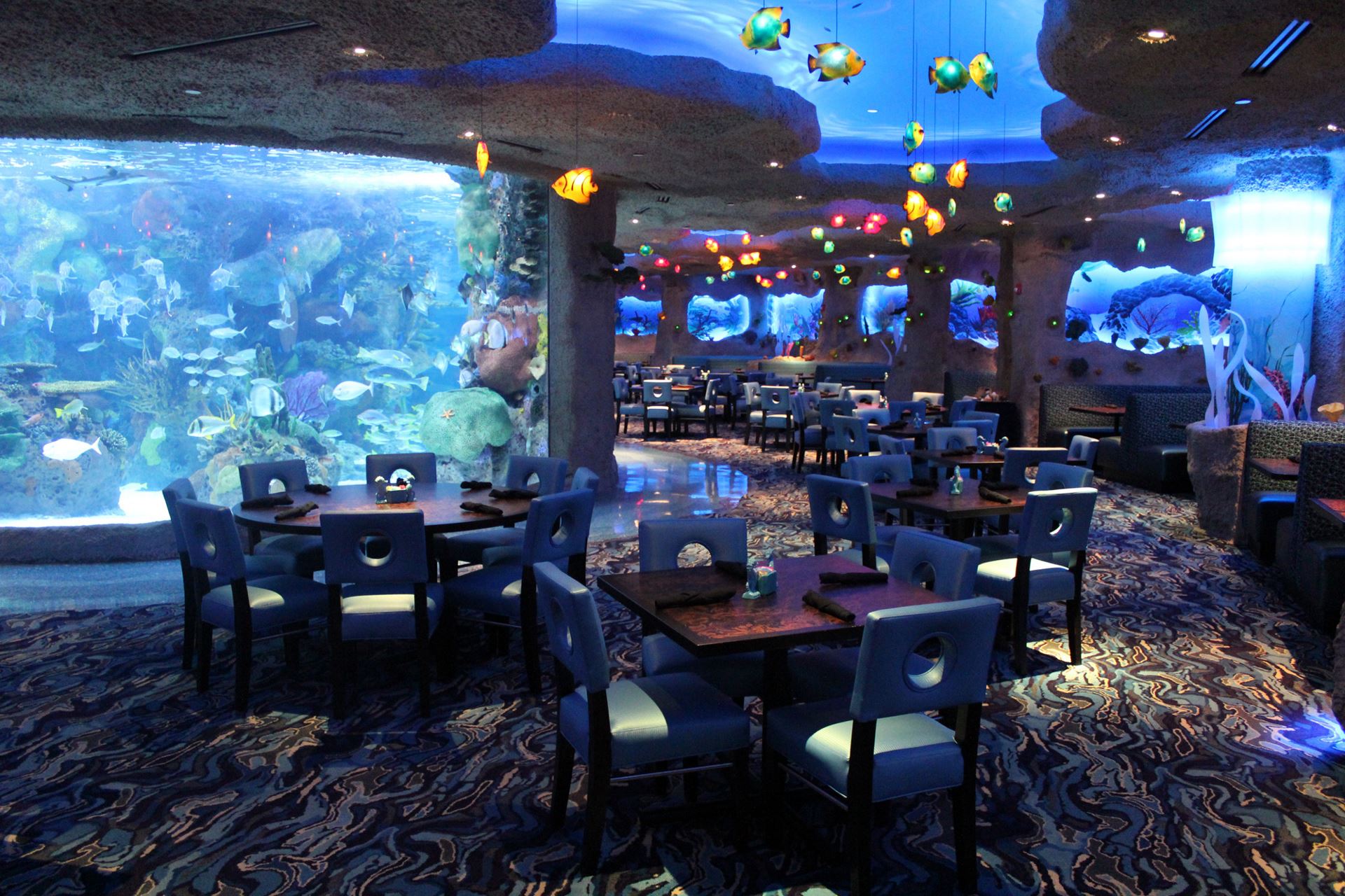 An Underwater Dining Adventure