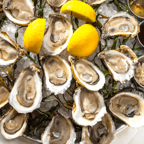 Oysters