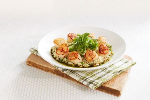 Seared Georges Bank Scallops