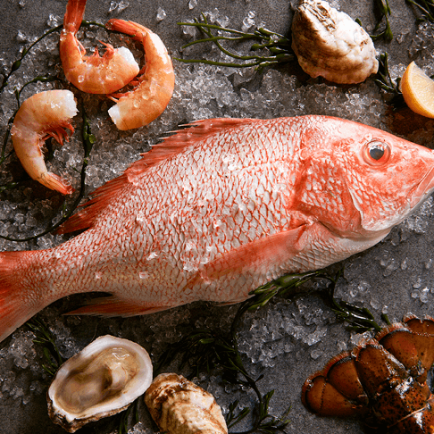 Fresh Fish Selection